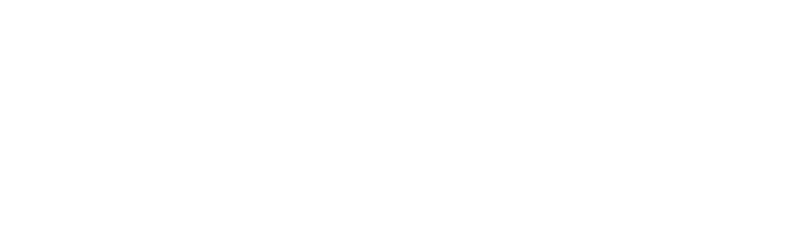 Logo Storefit
